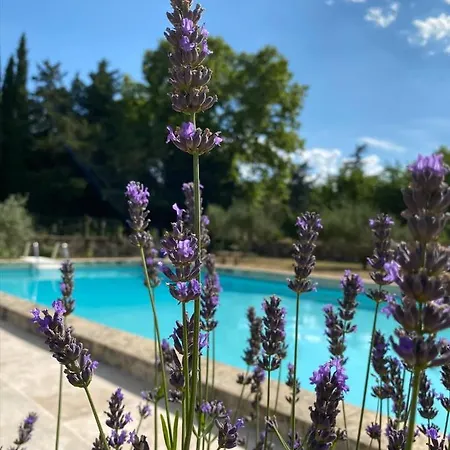 Le Mas Blanc Uzès