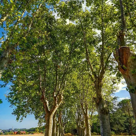 Le Mas Blanc Apartamento Uzès