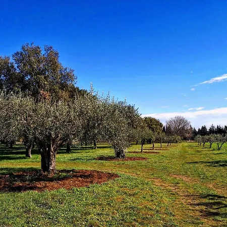 Apartamento Le Mas Blanc