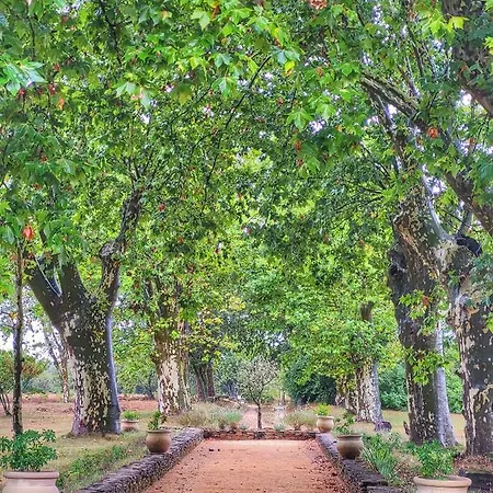 Le Mas Blanc Apartamento Uzès